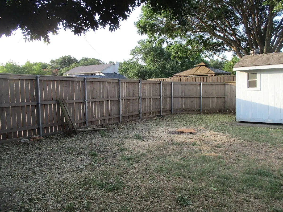 Cleared yard after professional tree removal in Ozark